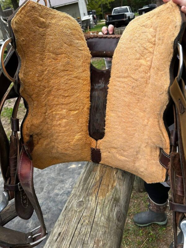 15” Used Robbie Philips Saddle - Image 2