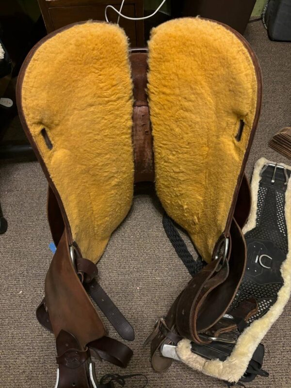 Buy 13.5 Inche Used Burns saddle - Image 3